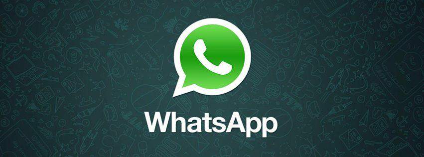 whatsapp web for pc download free
